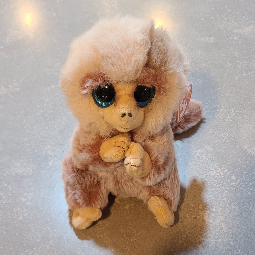 Ty | Kelly's Sweets & Greets